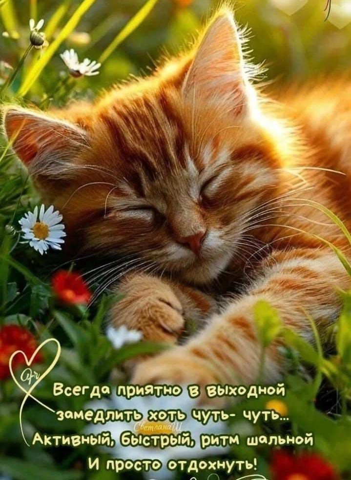 Всегда приятно в выходной замедлить хоть чуть-чуть... Активный, быстрый, ритм шальной И просто отдохнуть!