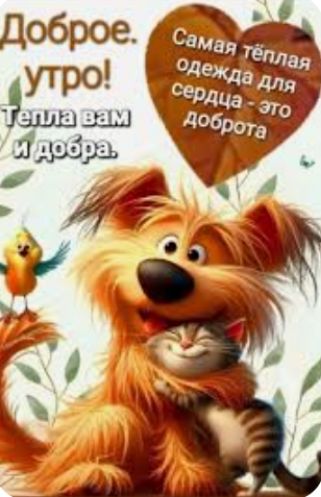 Доброе. утро! Тепла вам и добра.
Самая тёплая одежда для сердца - это доброта.