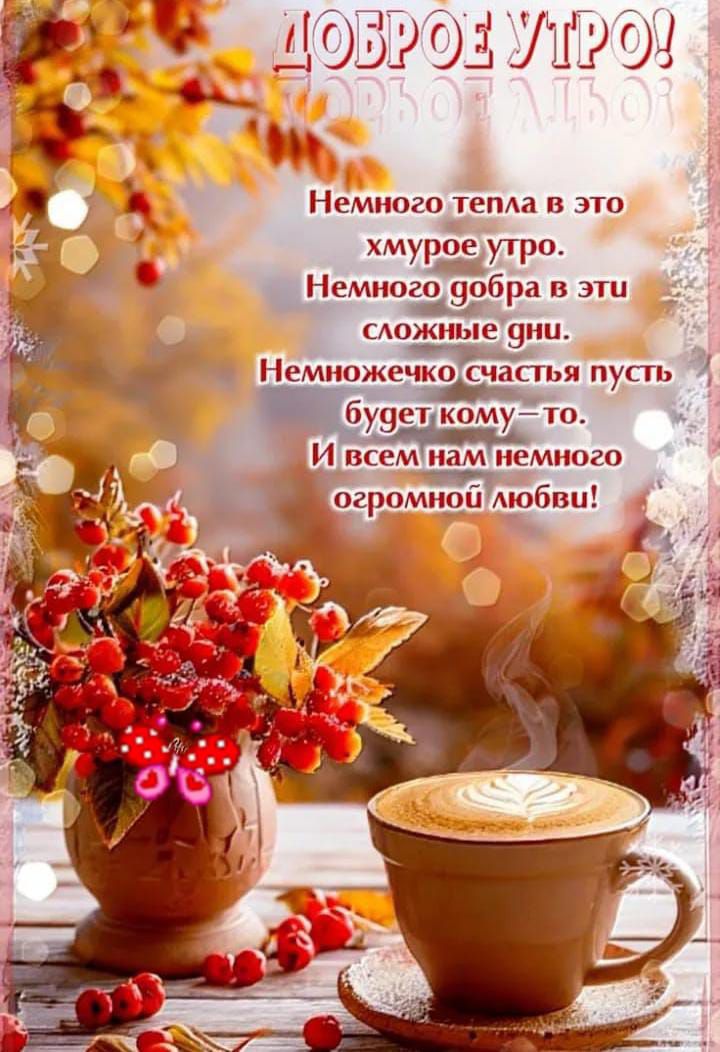 ДОБРОЕ УТРО!
Немного тепла в это хмурое утро.
Немного добра в эти сложные дни.
Немножечко счастья пусть будет кому-то.
И всем нам немного огромной любви!