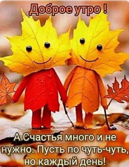 Доброе утро ! А счастья много и не нужно. Пусть по чуть-чуть, но каждый день!