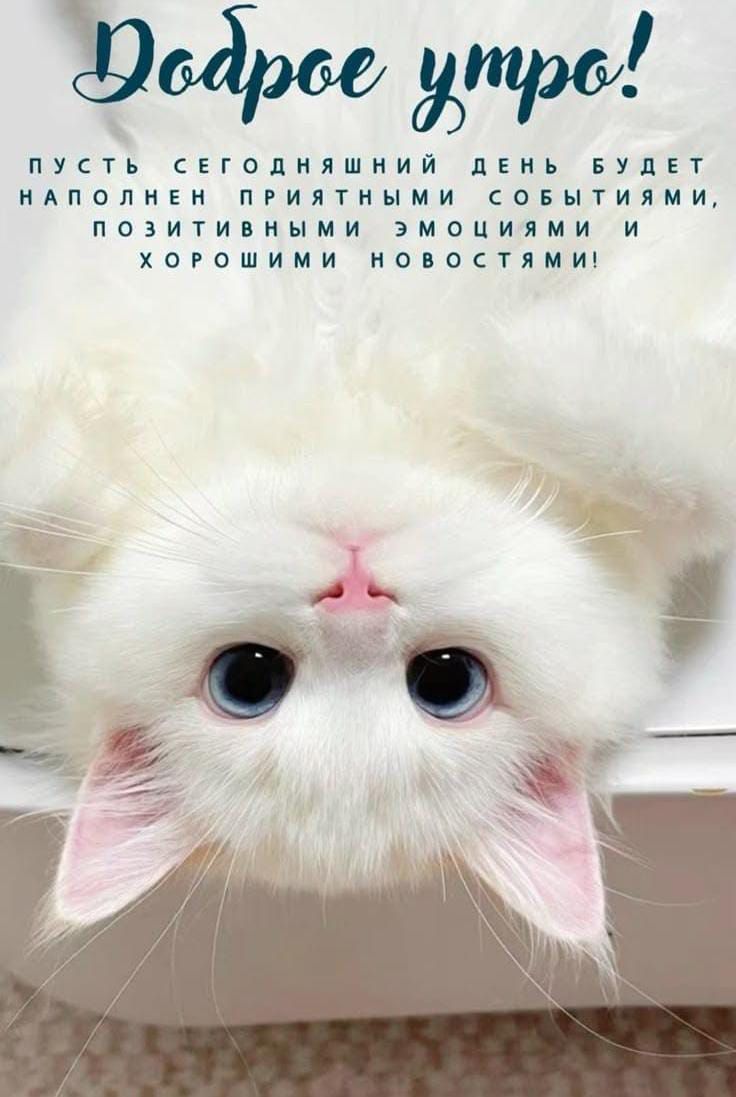 Доброе утро! Пусть сегодняшний день будет наполнен приятными событиями, позитивными эмоциями и хорошими новостями!