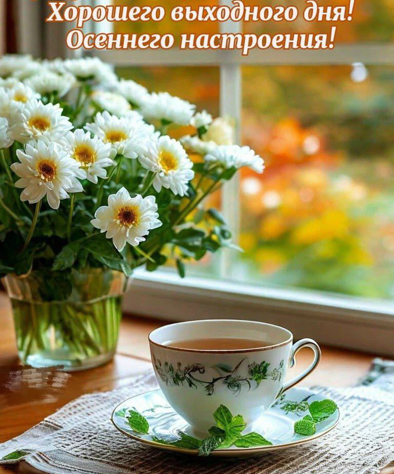 Хорошего выходного дня! Осеннего настроения!
