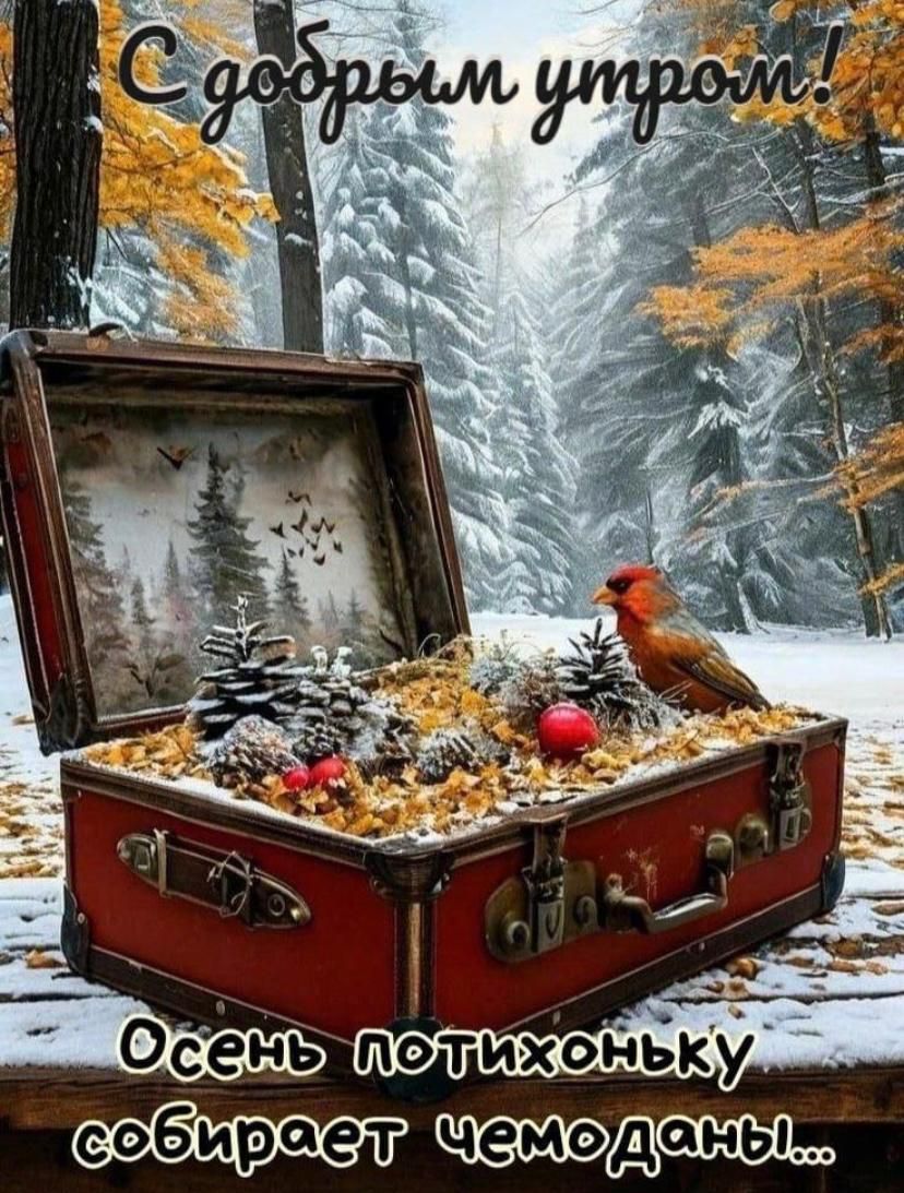 С добрым утром! Осень потихоньку собирает чемоданы...