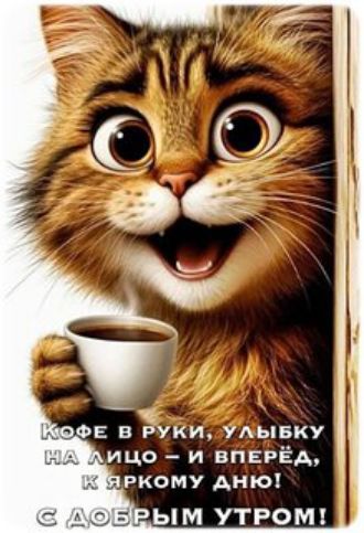 Кофе в руки, улыбку на лицо – и вперёд, к яркому дню! С добрым утром!