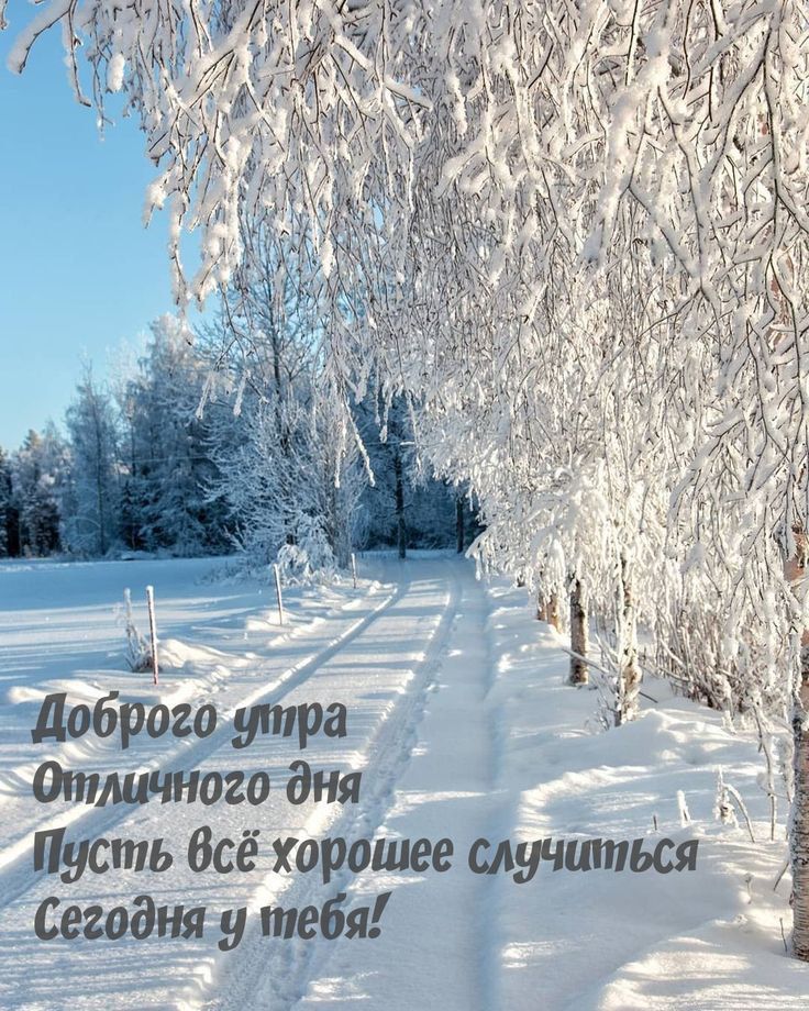 Доброго утра Отличного дня Пусть всё хорошее случиться Сегодня у тебя!