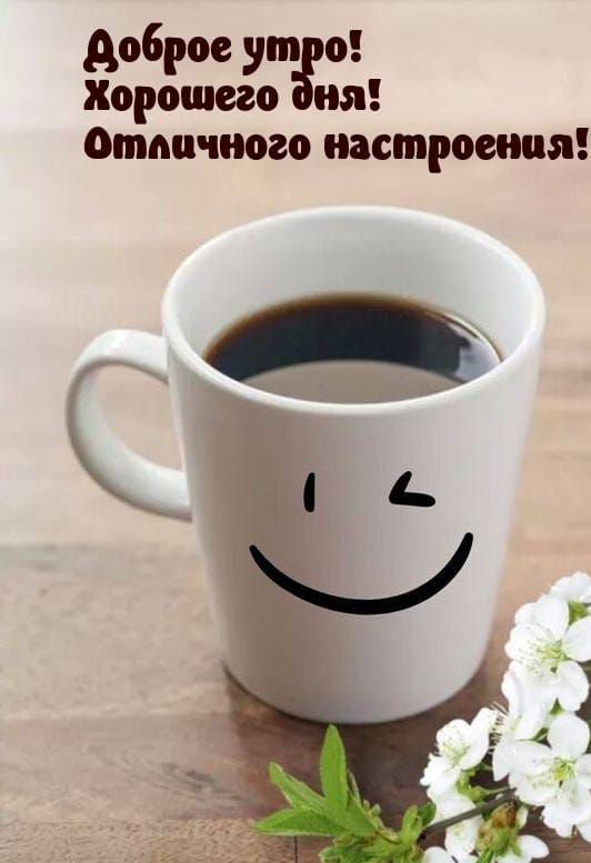Доброе утро! Хорошего дня! Отличного настроения!
