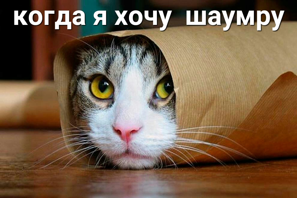 когда хоу__