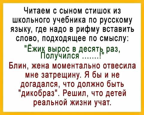 Читаем с сыном стишок из школьного учебника по русскому ищущевшфщвшить слово подходящее по смыслу Ёжий вырос в десятв раз случился Блин жена моментально отвесила мне затрещину Я бы и не догадался что должно быть дикобраз Решил что детей реальной жизни учат