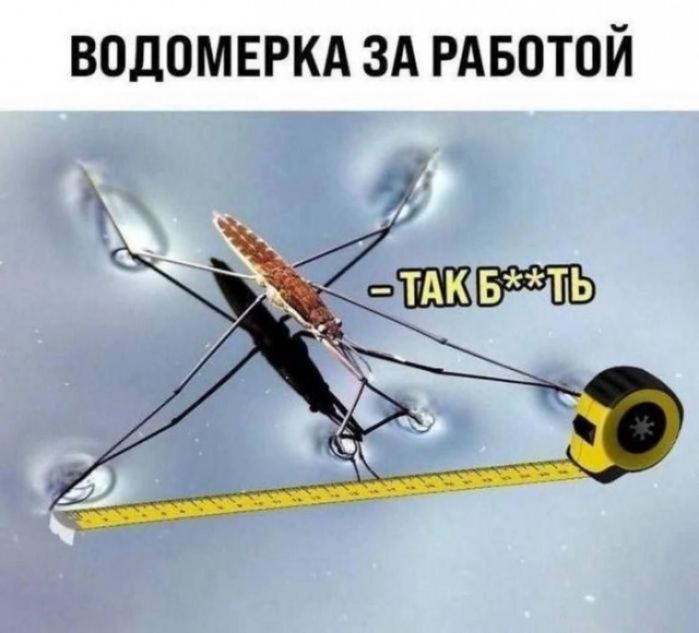 ВОДОМЕРКА ЗА РАБОТОЙ\n- ТАК Б**ТЬ