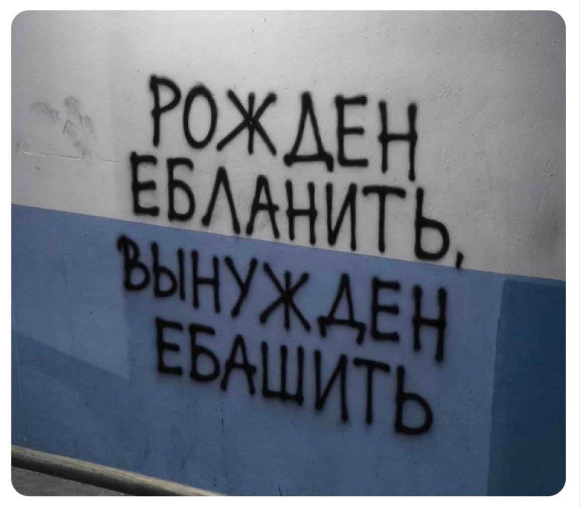 РОЖДЕН ЕБЛАНИТЬ, ВЫНУЖДЕН ЕБАШИТЬ