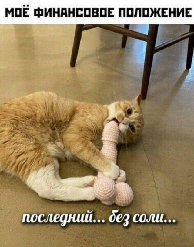 МОЁ ФИНАНСОВОЕ ПОЛОЖЕНИЕ
последний... без соли...