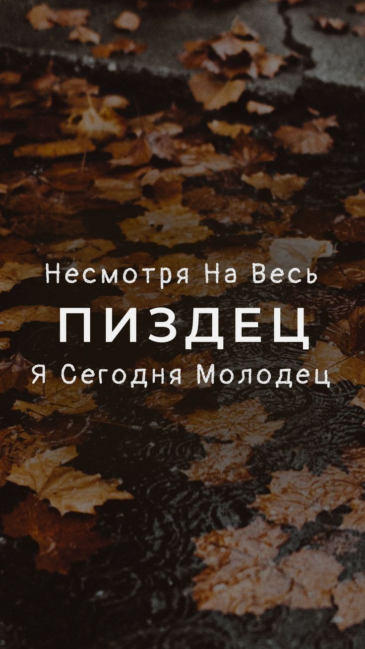 Несмотря На Весь ПИЗДЕЦ Я Сегодня Молодец