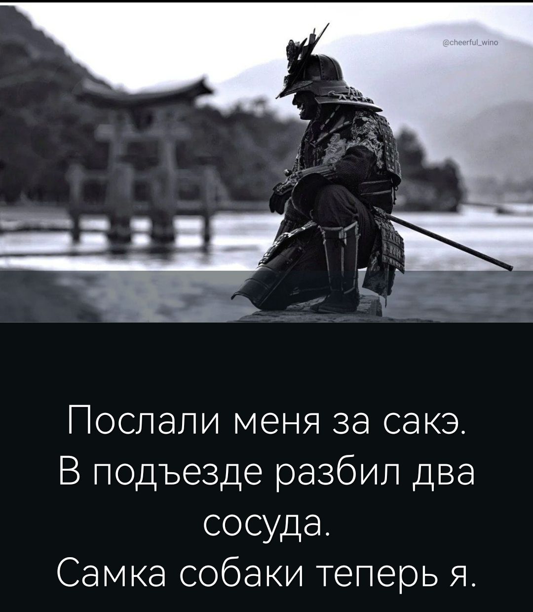 Послали меня за сакэ В подъезде разбил два сосуда Самка собаки теперь я