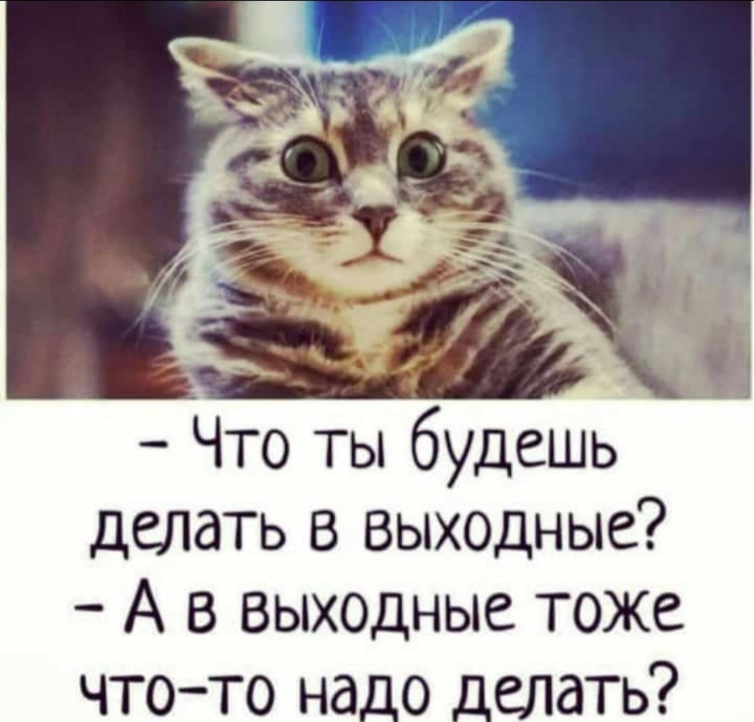 6 ЗЛ Что ты будешь делать в выходные А в выходные тоже что то надо делать