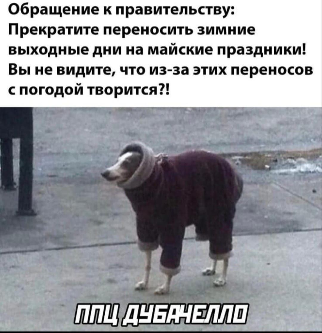 Обращение к правительству: Прекратите переносить зимние выходные дни на майские праздники! Вы не видите, что из-за этих переносов с погодой творится?! ППЦ ДУБАЧЕЛЛО