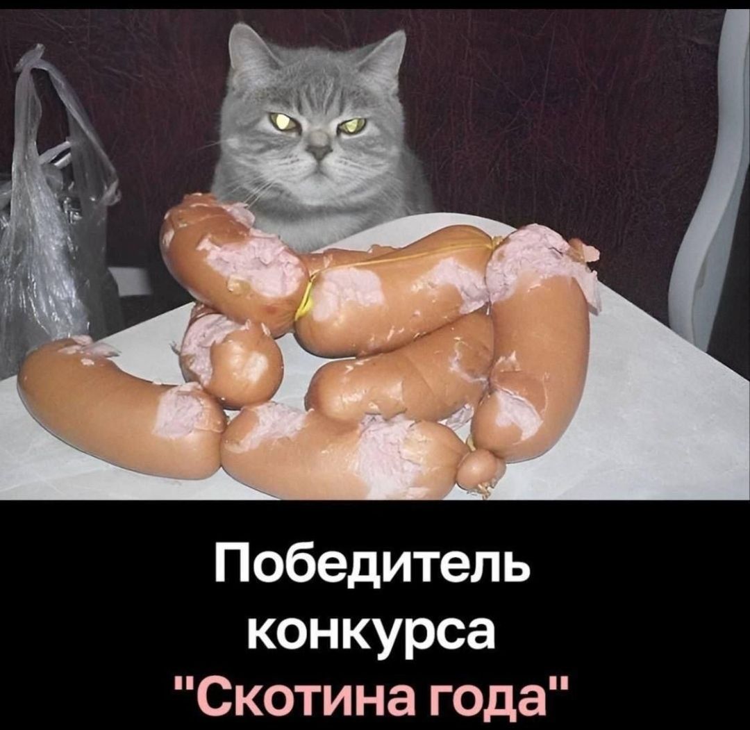 Победитель конкурса 