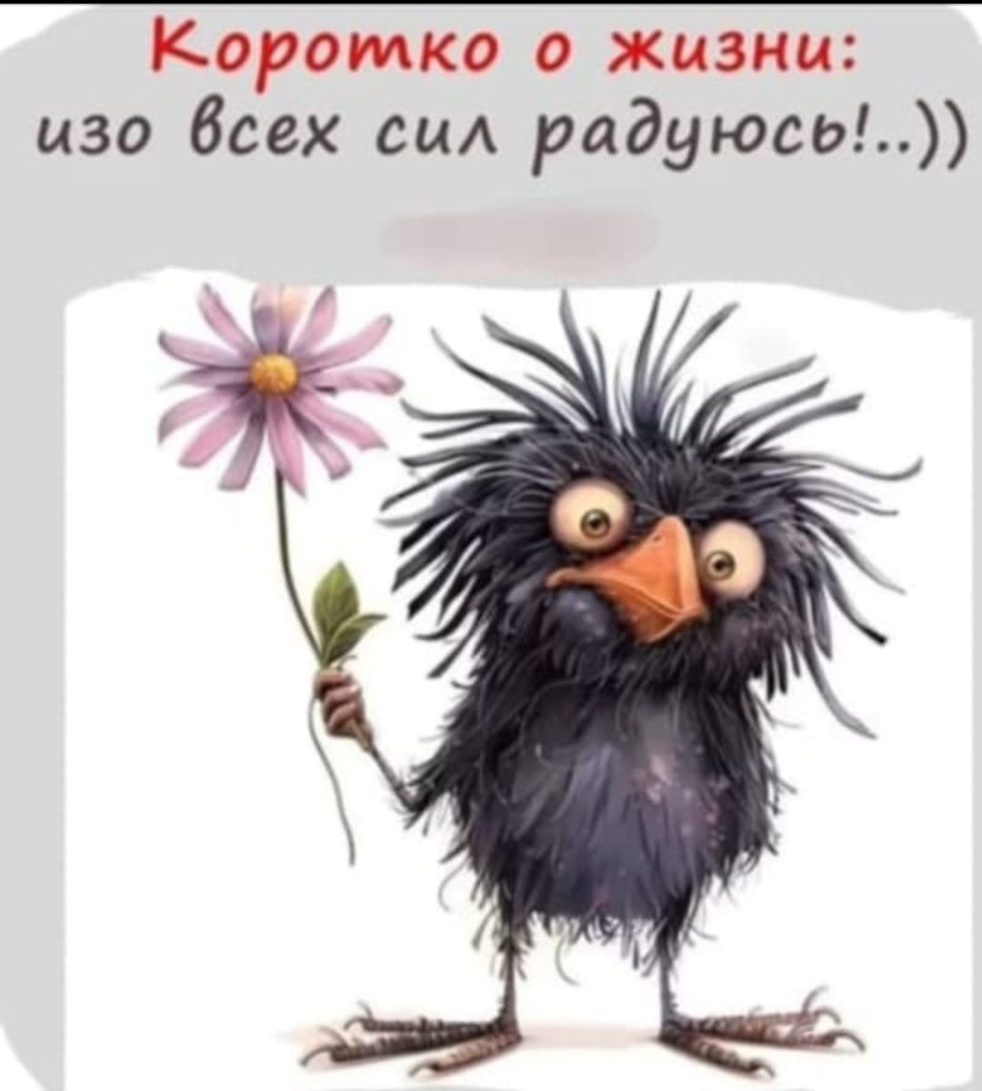 Корочко о жизни: изо всех сил радуюсь!..))