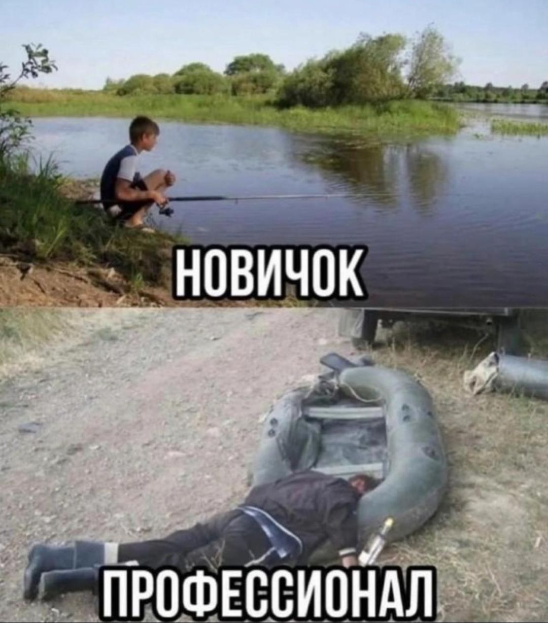 НОВИЧОК
ПРОФЕССИОНАЛ