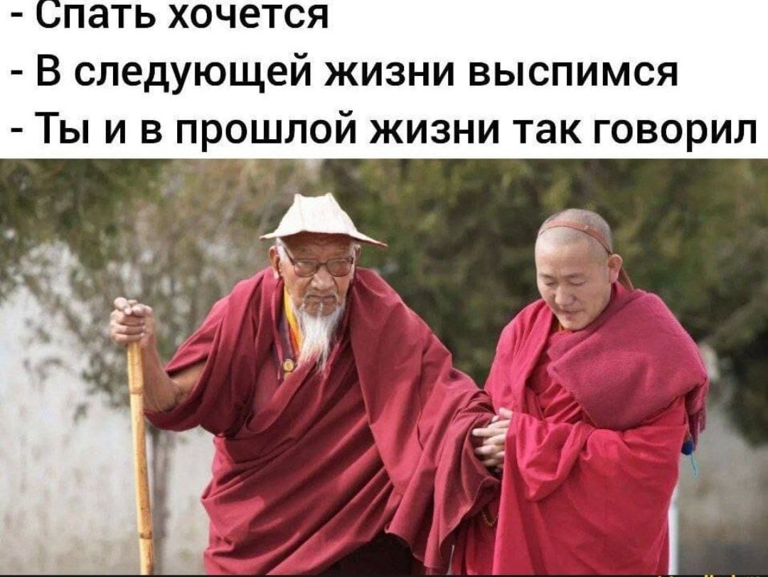 Спать хочется
- В следующей жизни выспимся
- Ты и в прошлой жизни так говорил