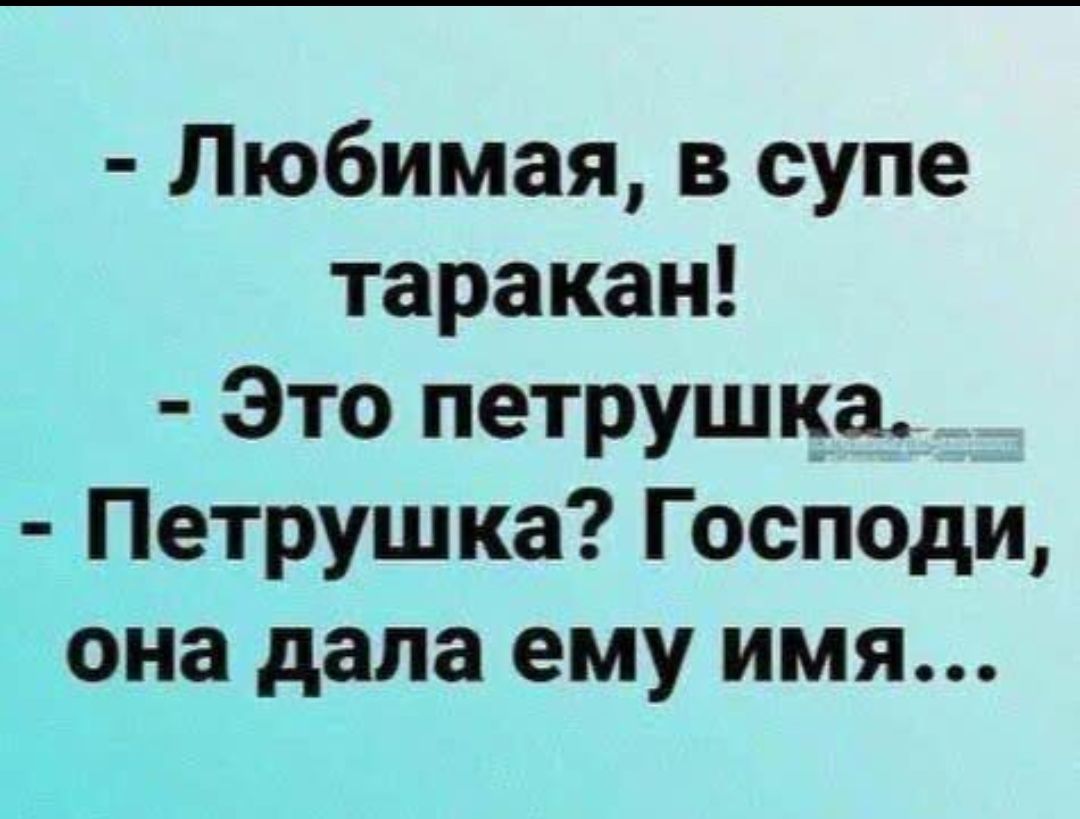 Любимая, в супе таракан! - Это петрушка. - Петрушка? Господи, она дала ему имя...