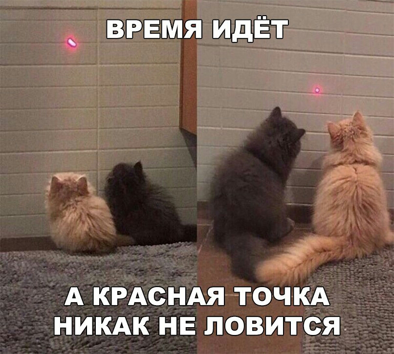 ВРЕМЯ ИДЁТ А КРАСНАЯ ТОЧКА НИКАК НЕ ЛОВИТСЯ