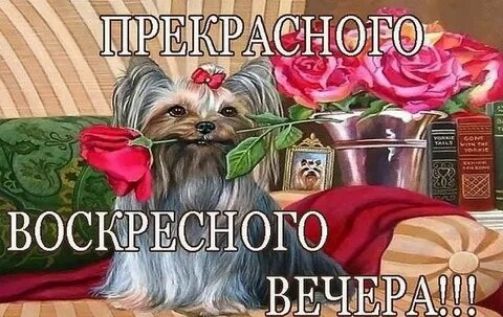 я ВОСКРЕСНОГО ВЕЧВ