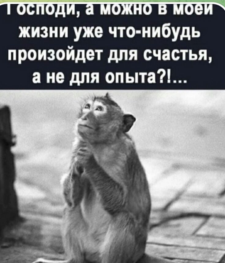 Господи, а можно в моей жизни уже что-нибудь произойдёт для счастья, а не для опыта?!...