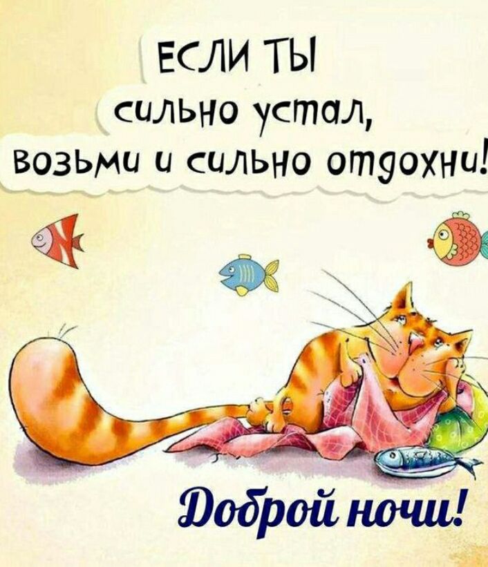 ЕСЛИ ТЫ СИЛЬНО УСТАЛ, ВОЗЬМИ И СИЛЬНО ОТДОХНИ! Доброй ночи!