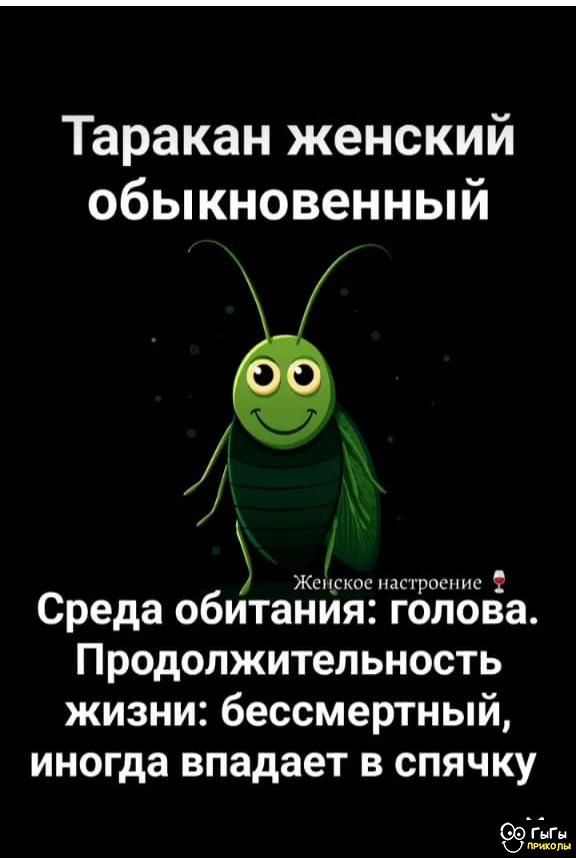 Таракан женский обыкновенный
Среда обитания: голова. Продолжительность жизни: бессмертный, иногда впадает в спячку