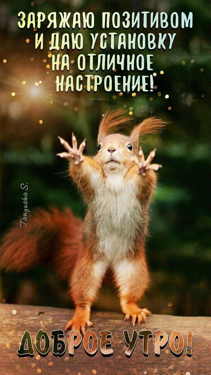ЗАРЯЖАЮ ПОЗИТИВОМ И ДАЮ УСТАНОВКУ НА ОТЛИЧНОЕ НАСТРОЕНИЕ! ДОБРОЕ УТРО!