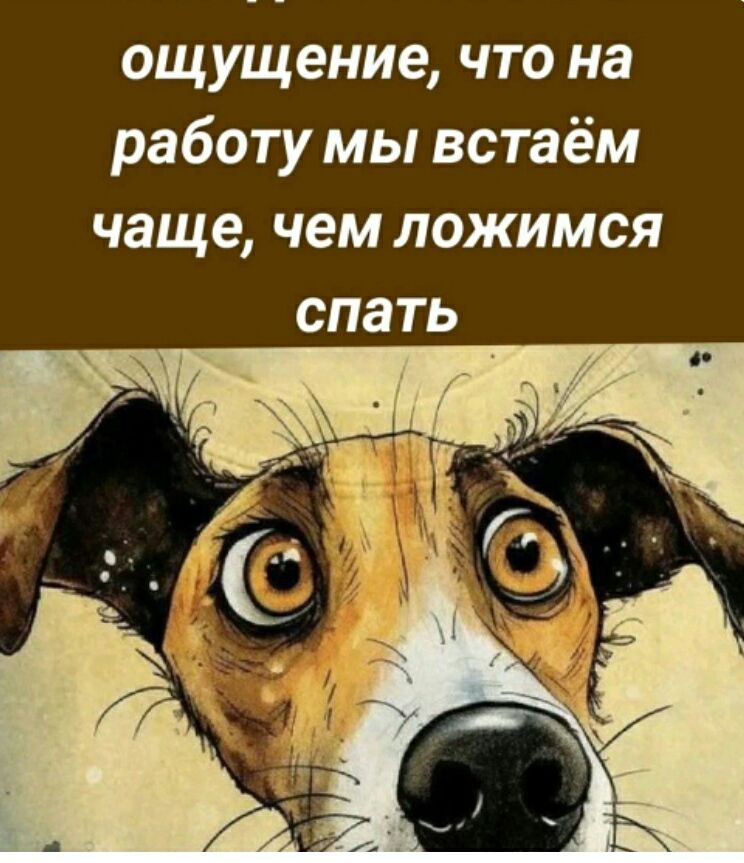 ощущение, что на работу мы встаём чаще, чем ложимся спать