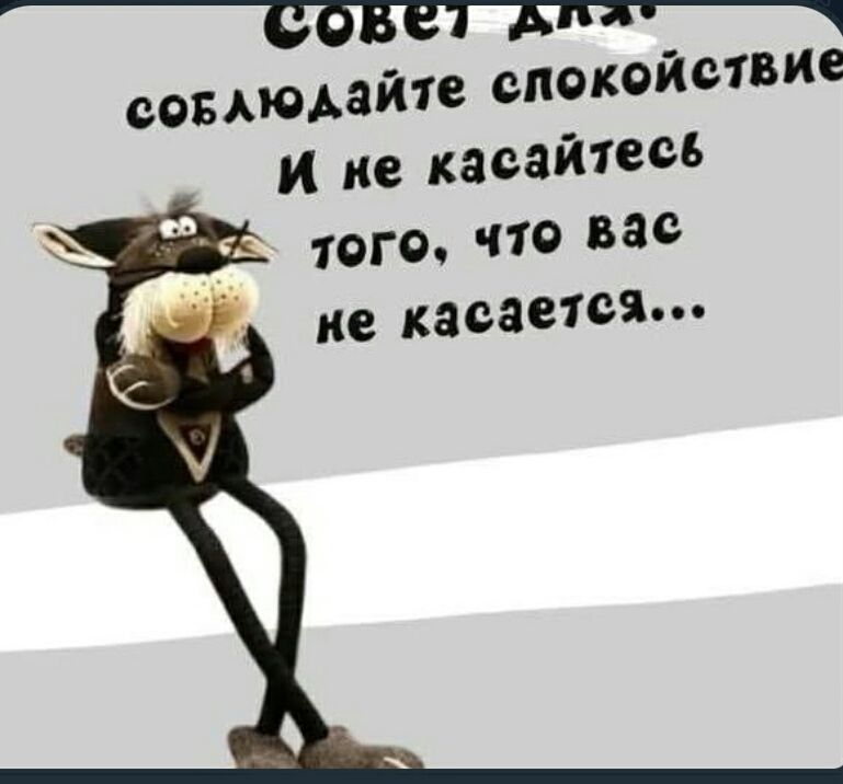 Совет дня: соблюдайте спокойствие И не касайтесь того, что вас не касается...
