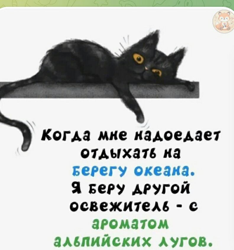 Когда мне надоедает отдыхать на берегу океана. Я беру другой освежитель - с ароматом альпийских лугов.