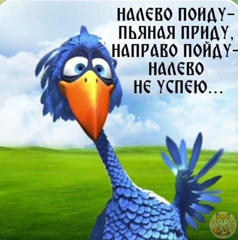 НАЛЕВО ПОЙДУ – ПЬЯНАЯ ПРИДУ, НАПРАВО ПОЙДУ – НАЛЕВО НЕ УСПЕЮ...