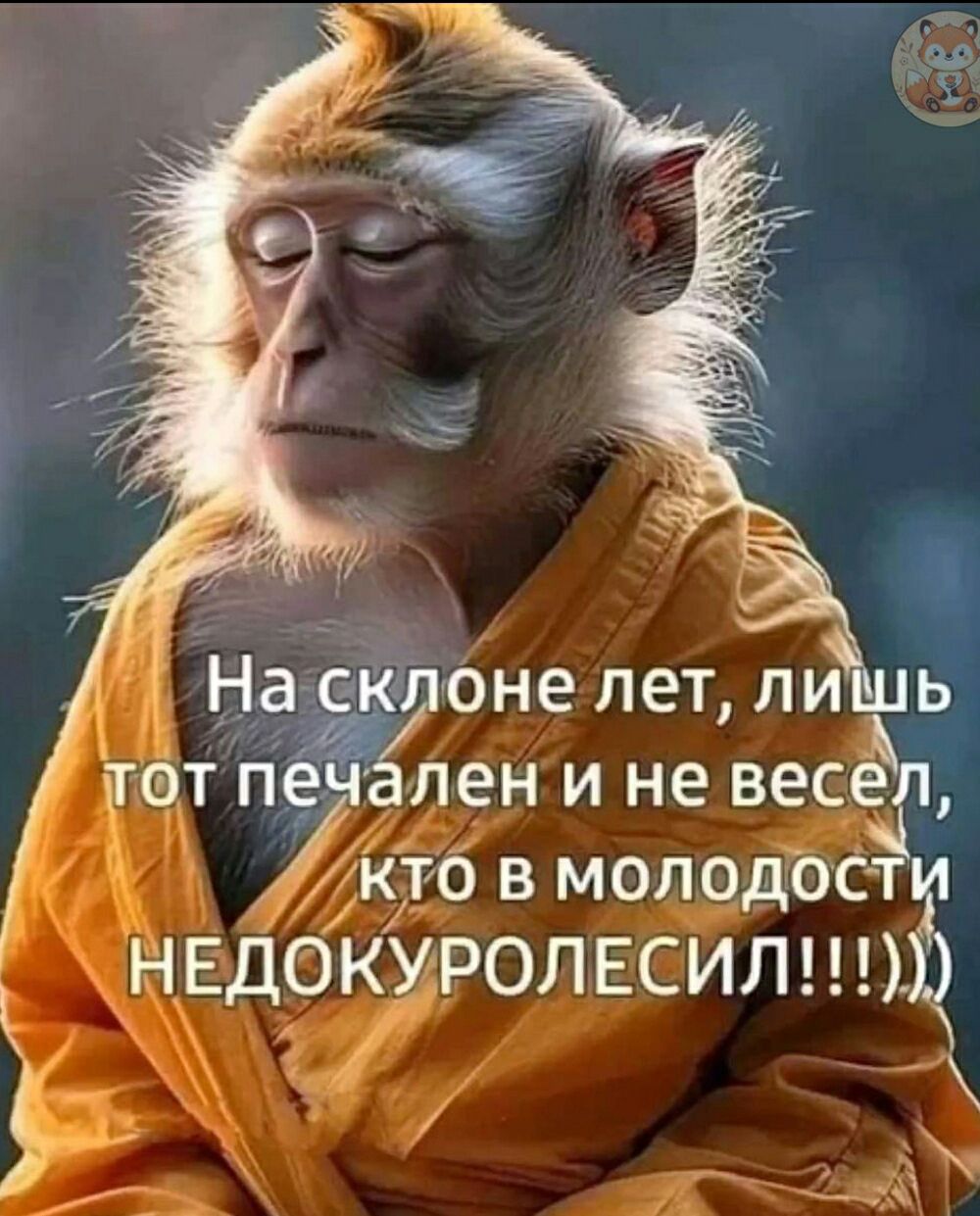 На склоне лет, лишь тот печален и не весел, кто в молодости НЕДОКУРОЛЕСИЛ!!!!)))))
