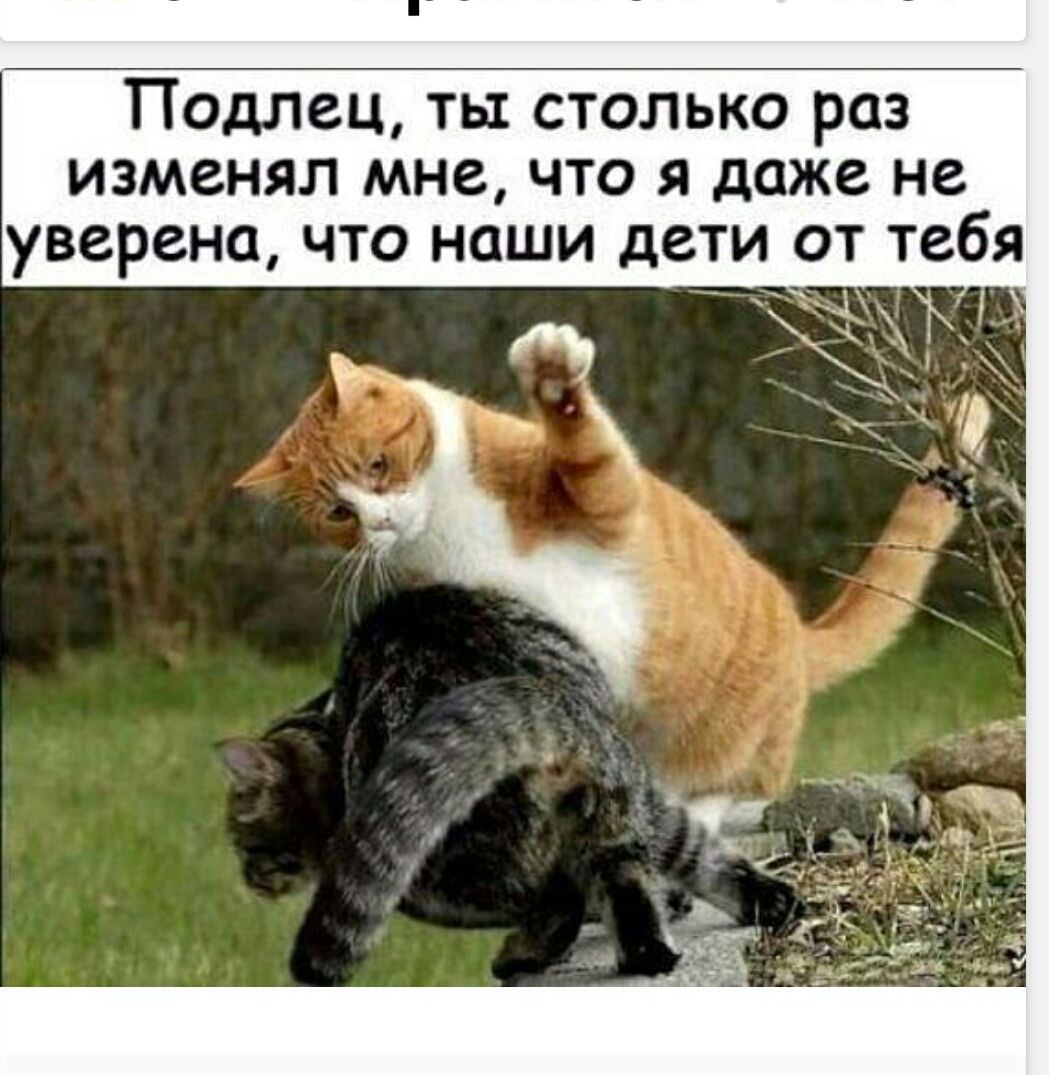 Подлец, ты столько раз изменял мне, что я даже не уверена, что наши дети от тебя.