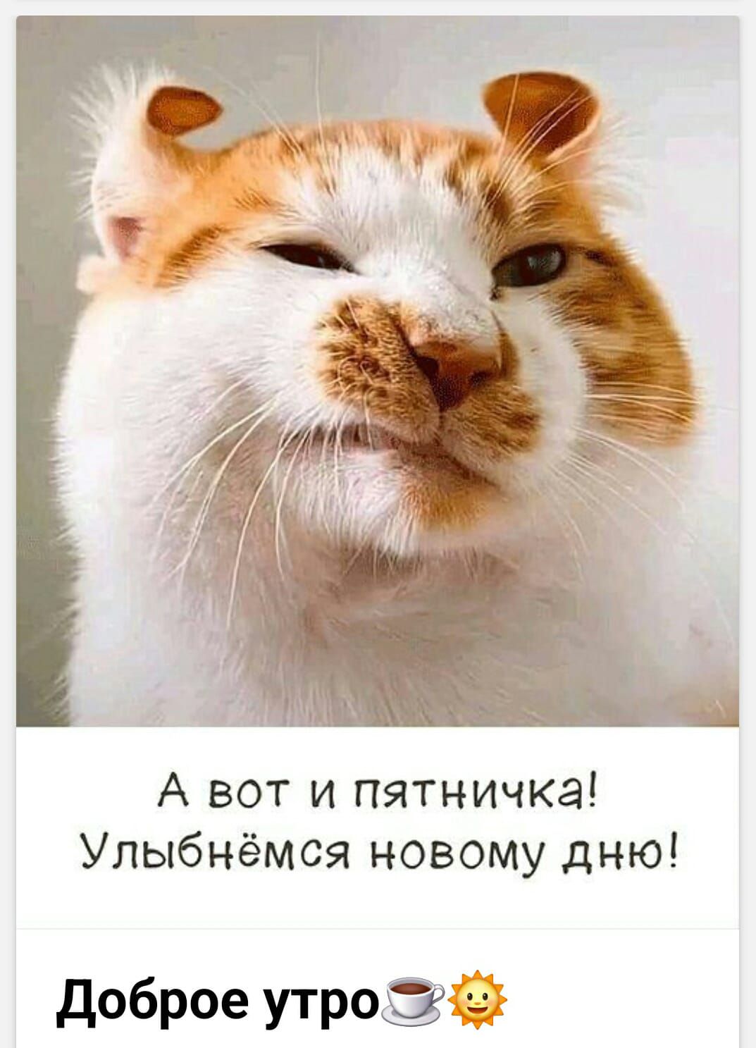 А вот и пятничка! Улыбнёмся новому дню!
Доброе утро☕☀️