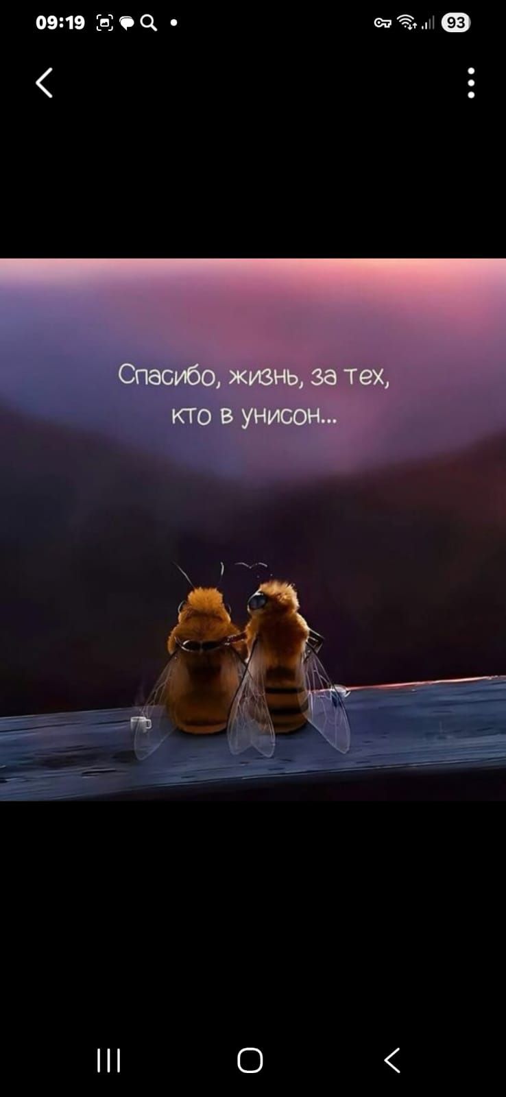 Спасибо, жизнь, за тех, кто в унисон...