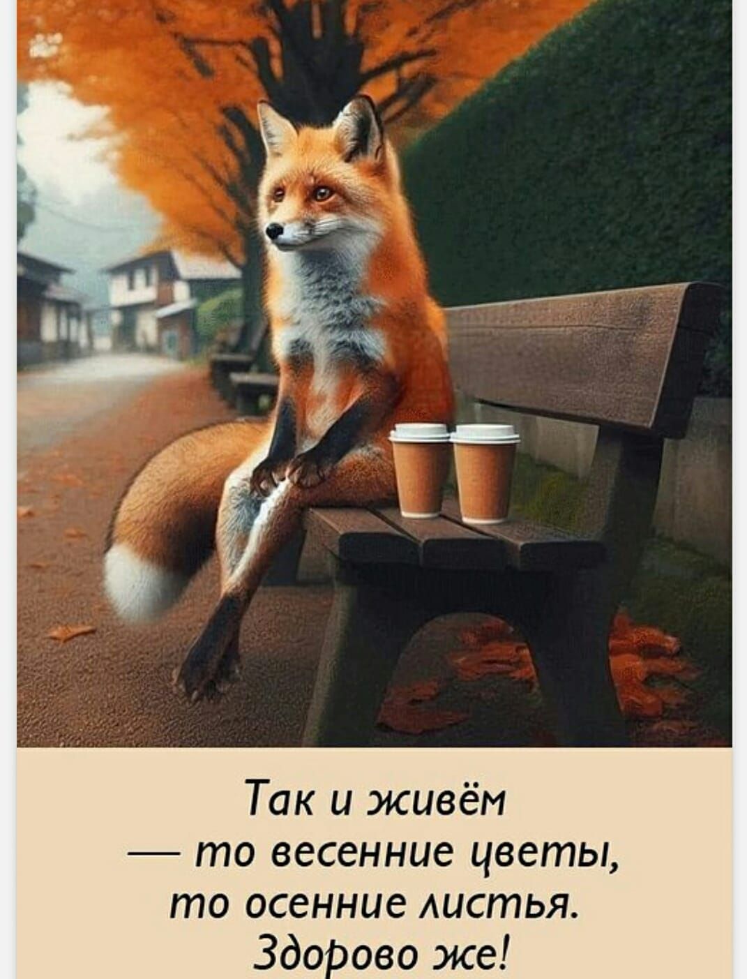 Так и живём — то весенние цветы, то осенние листья. Здорово же!