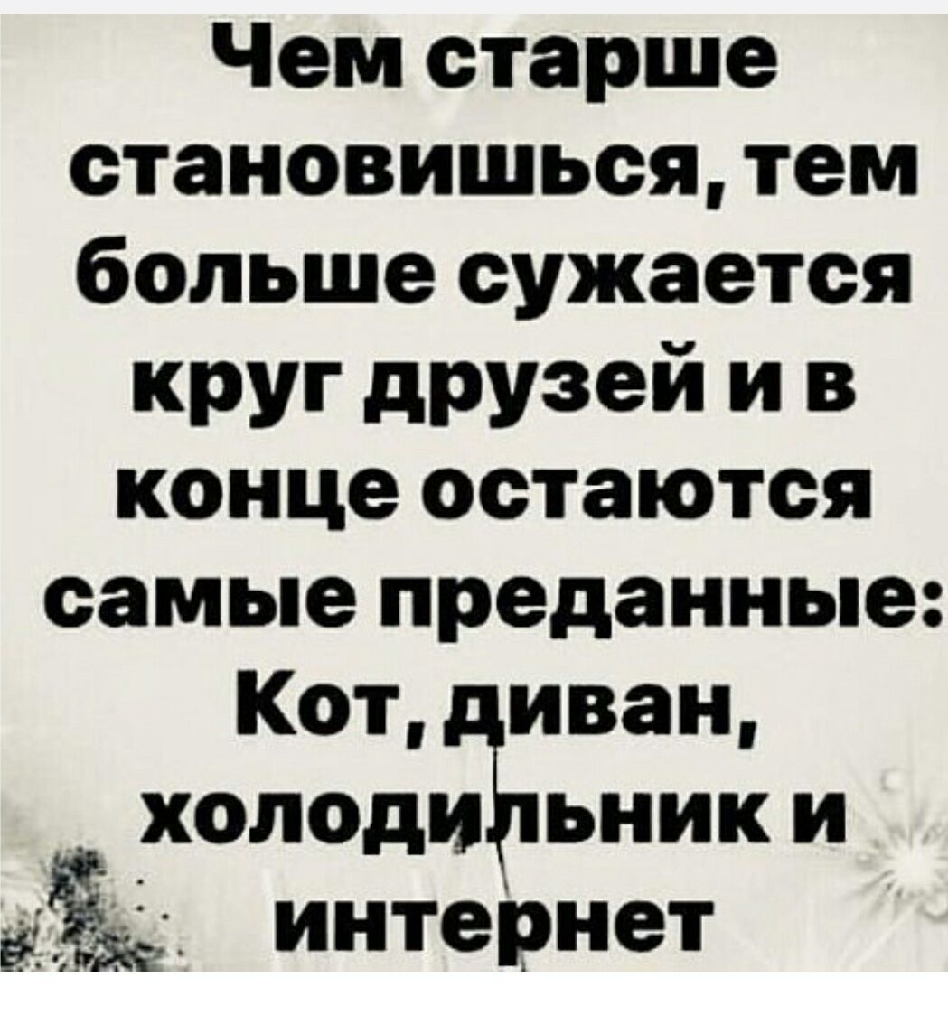 Чем старше становишься, тем больше сужается круг друзей и в конце остаются самые преданные: Кот, диван, холодильник и интернет