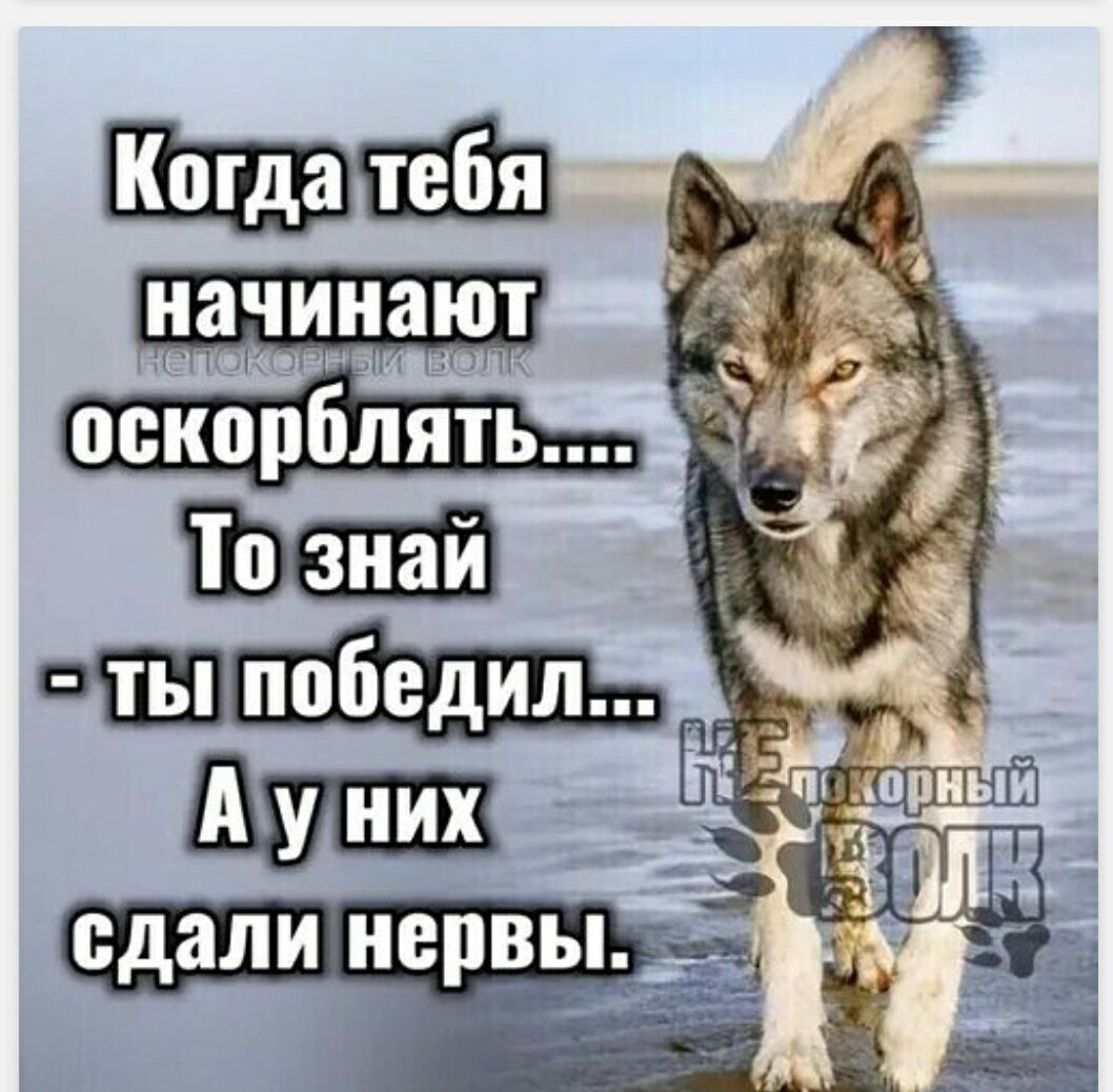 Когда тебя начинают оскорблять.... То знай - ты победил... А у них сдали нервы.