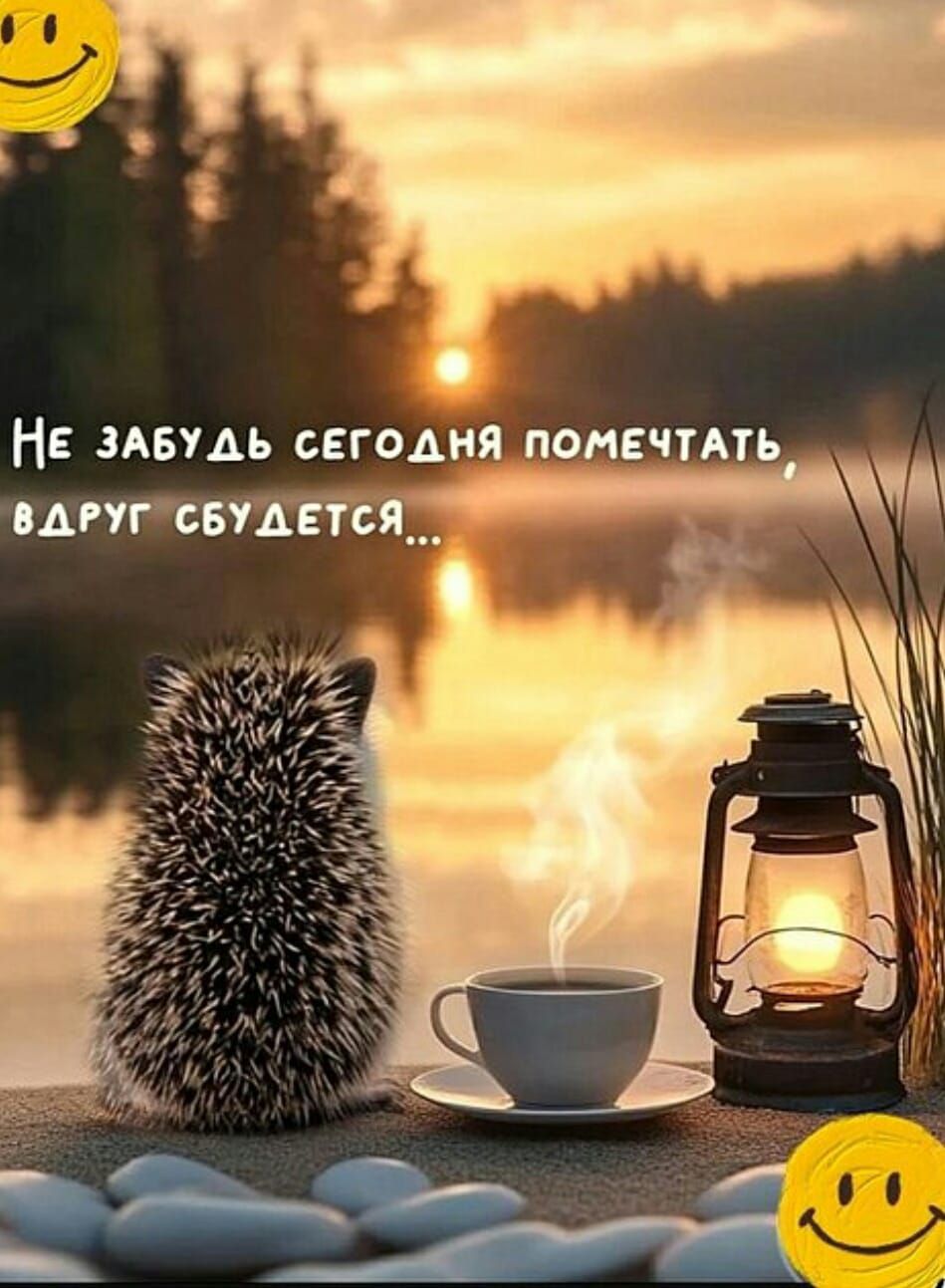 Не забывай сегодня помечтать, вдруг сбудется...