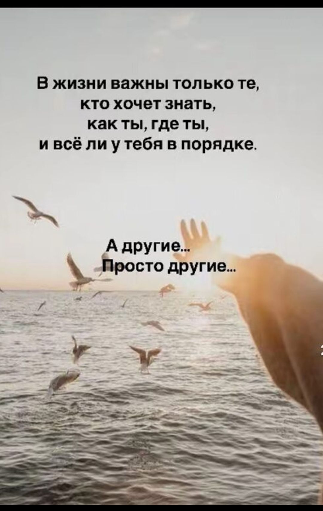 В жизни важны только те, кто хочет знать, как ты, где ты, и всё ли у тебя в порядке. А другие... Просто другие...
