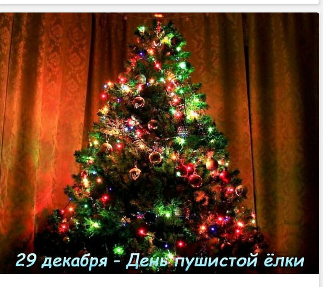 29 декабря - День пушистой ёлки