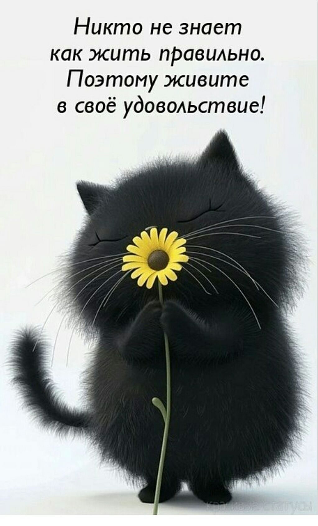 Никто не знает как жить правильно. Поэтому живите в своё удовольствие!