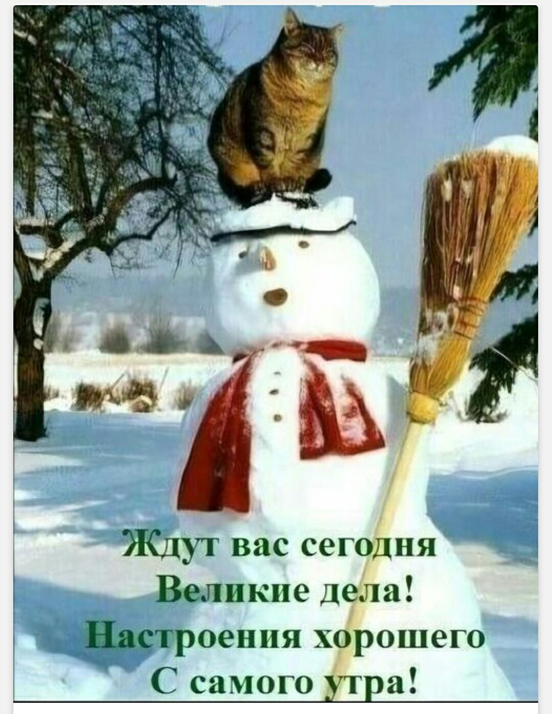 Ждут вас сегодня Великие дела! Настроения хорошего С самого утра!