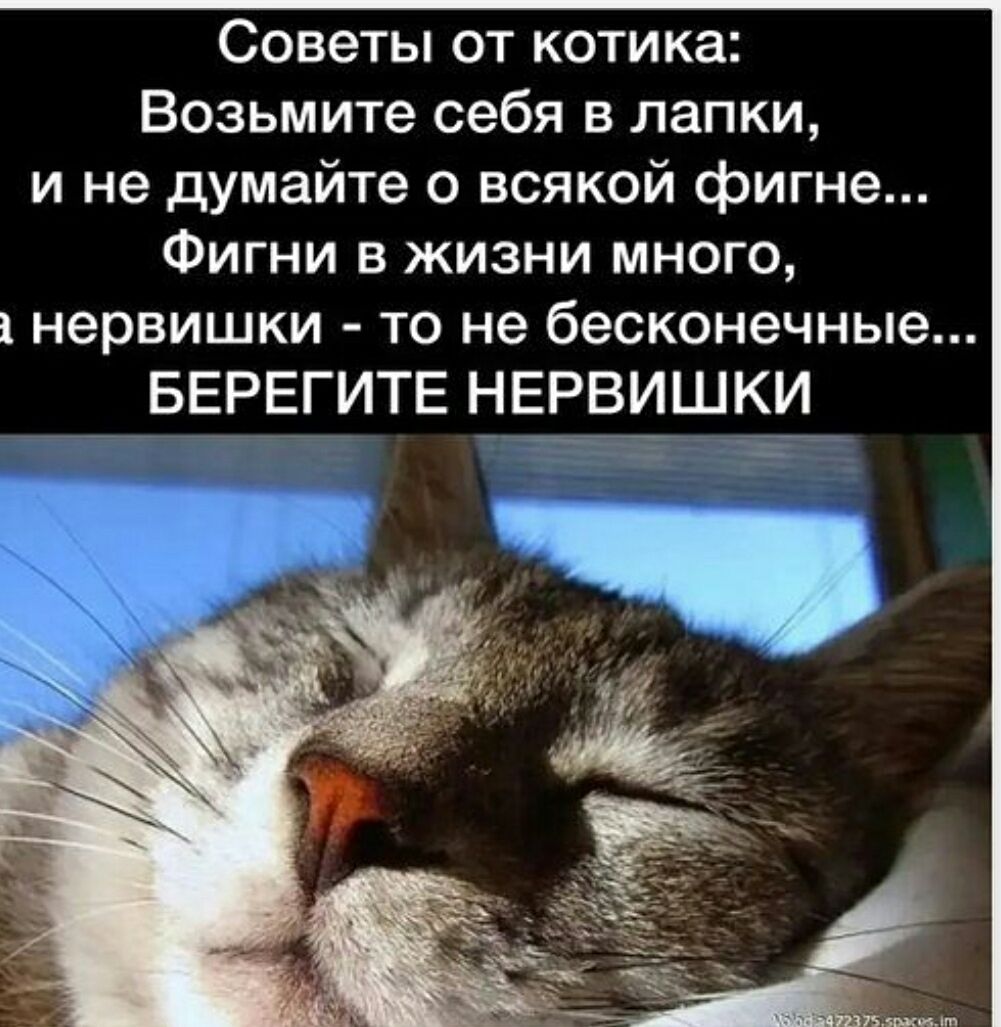 Советы от котика: Возьмите себя в лапки, и не думайте о всякой фигне... Фигни в жизни много, а нервишки - то не бесконечные... БЕРЕГИТЕ НЕРВИШКИ