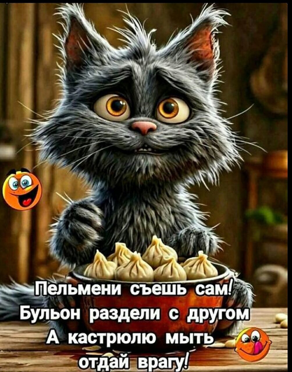 Пельмени съешь сам! Бульон раздели с другом А кастрюлю мыть отдай врагу!