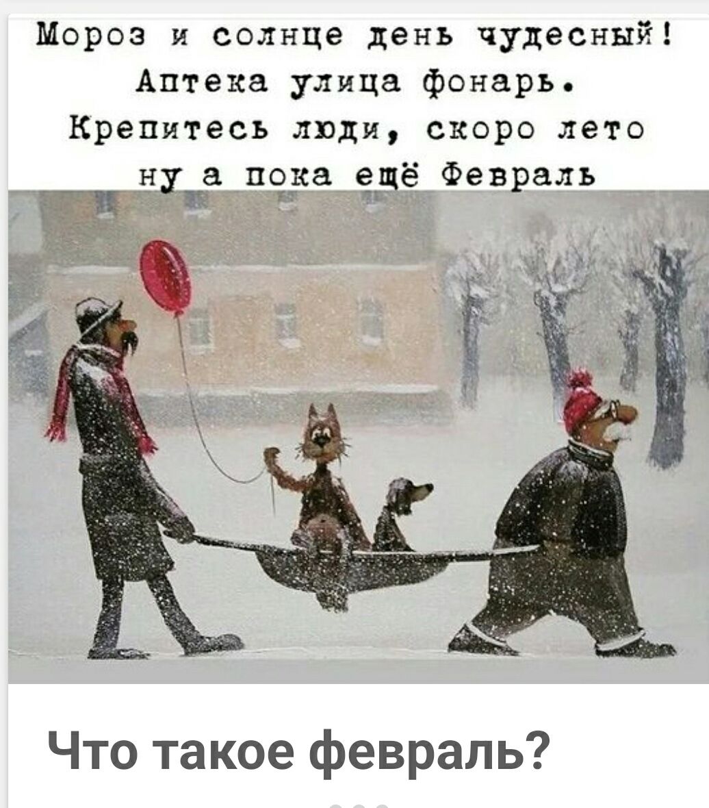 Мороз и солнце день чудесный! Аптеке улица фонарь. Крепитесь люди, скоро лето ну а пока ещё февраль