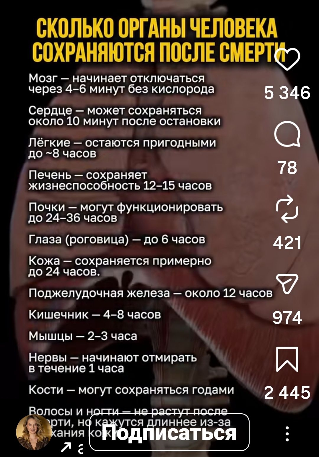 Сколько органы человека сохраняются после смерти: мозг — отключается через 4–6 минут без кислорода; сердце — может сохраняться около 10 минут после остановки; лёгкие — до ~8 часов; печень — 12–15 часов; почки — до 24–36 часов; глаза — до 6 часов; кожа — до 24 часов; поджелудочная железа — около 12 часов; кишечник — 4–8 часов; мышцы — 2–3 часа; нервы — начинают отмирать в течение 1 часа; кости — могут сохраняться годами.